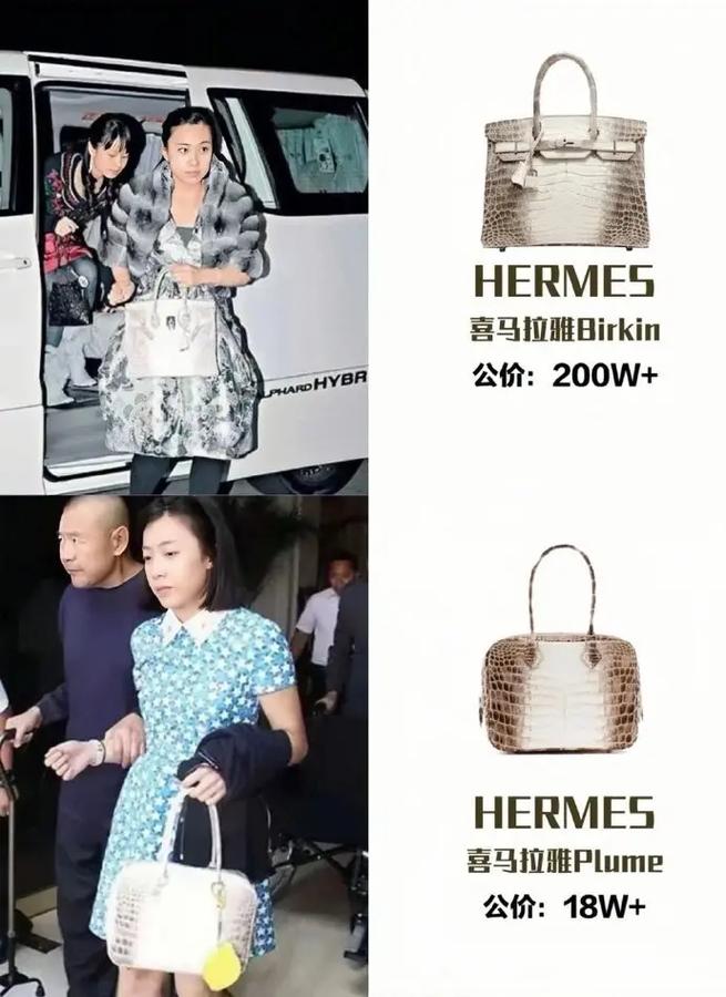 娱乐没有圈小说_娱乐圈 甘比_珠江台娱乐没有圈