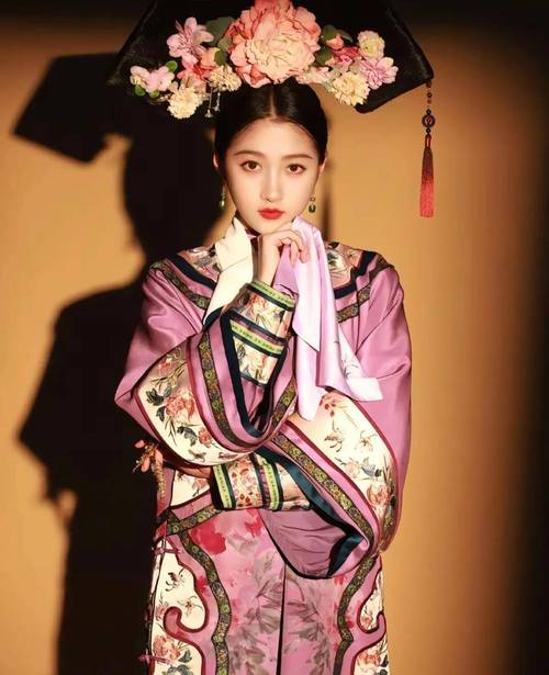 娱乐圈满族势力_满族霸占娱乐圈_娱乐圈的满族皇室